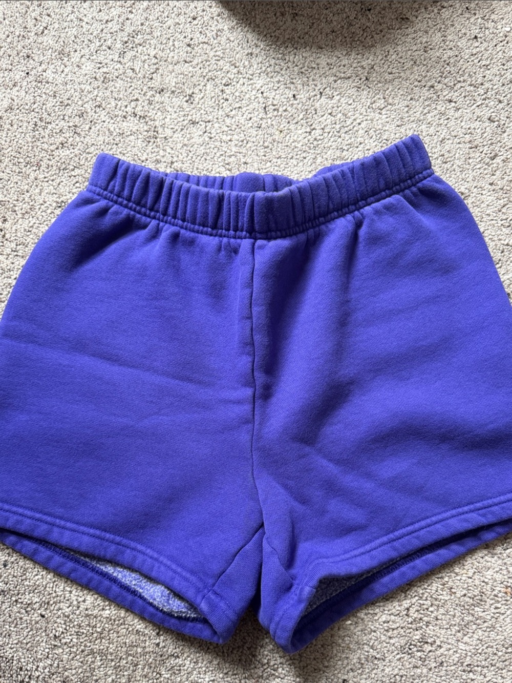 TNA Purple Fleece Shorts